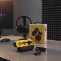 Wireless Microphone in Professional Setting